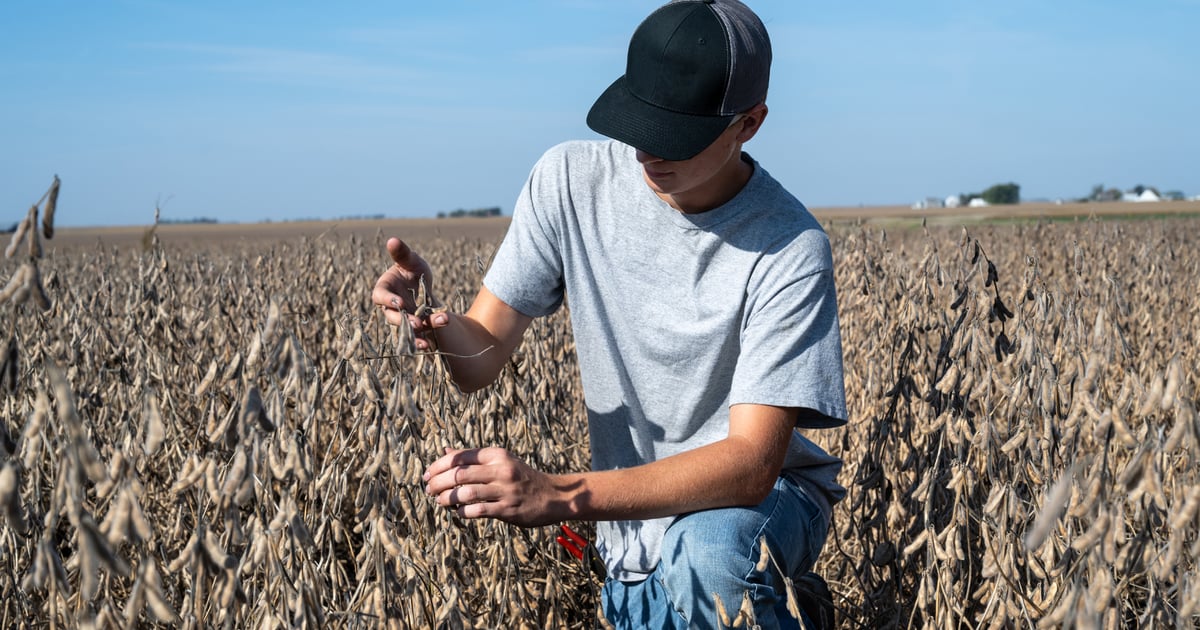 How to calculate ‘sweat equity’ on family farms