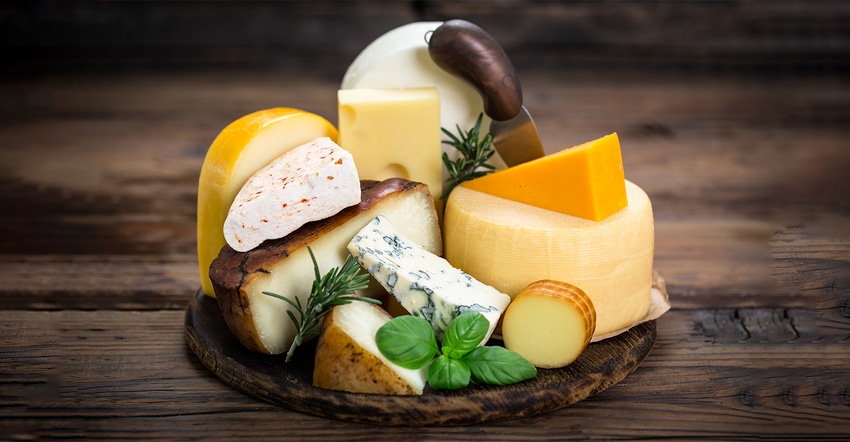 platter of assorted cheeses