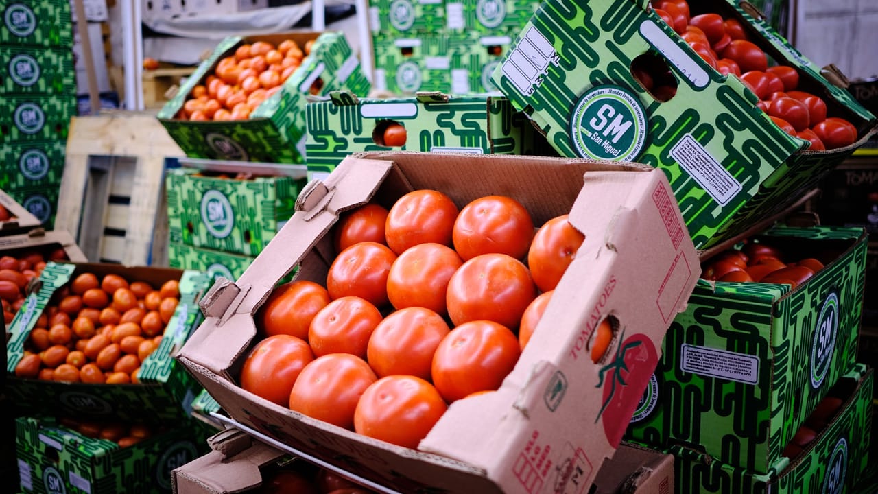 U.S. moves to impose 17% tariff on Mexican tomato imports