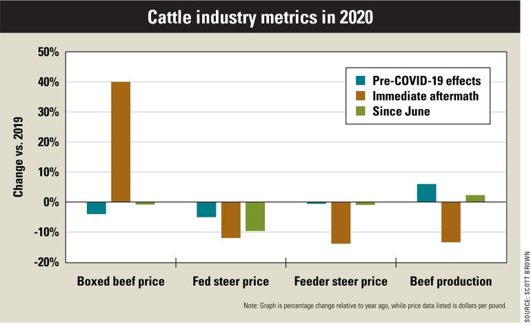 A bar graph showing the change in prices for the cattle industry in 2020 relative to 2019
