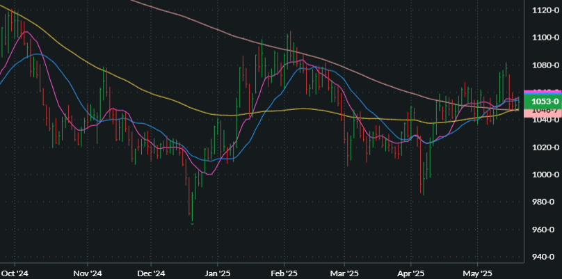 JULY SOYBEANS