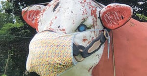 cow statue wearing mask
