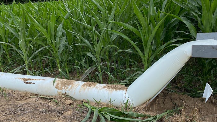 White poly tubing on a custom irrigation stand in a furrow irrigated corn field