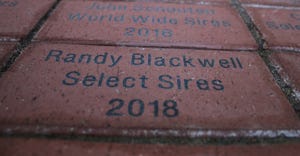 Select Sires brick pavers