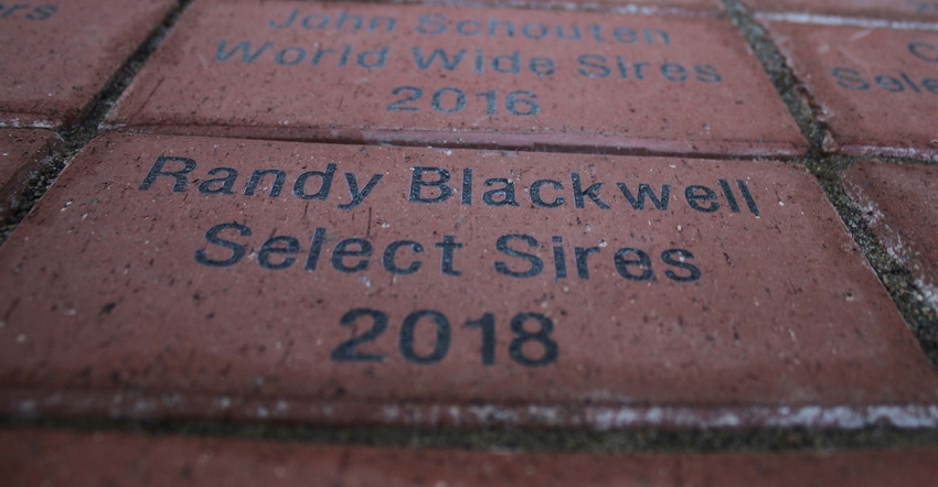 Select Sires brick pavers