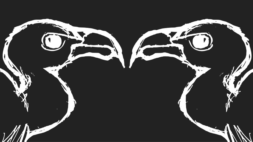 Line drawing illustration of two vultures beak to beak