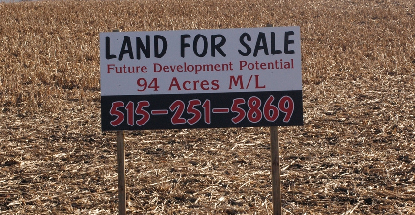 Land for sale sign in cornfield
