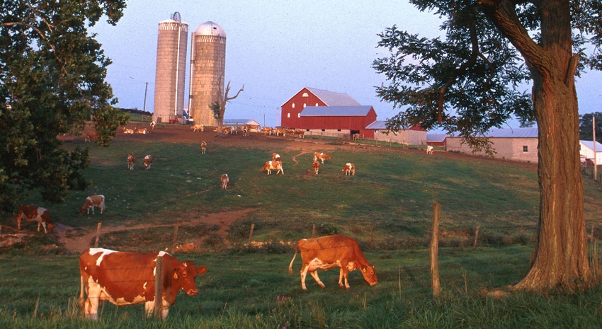 Dairy farm