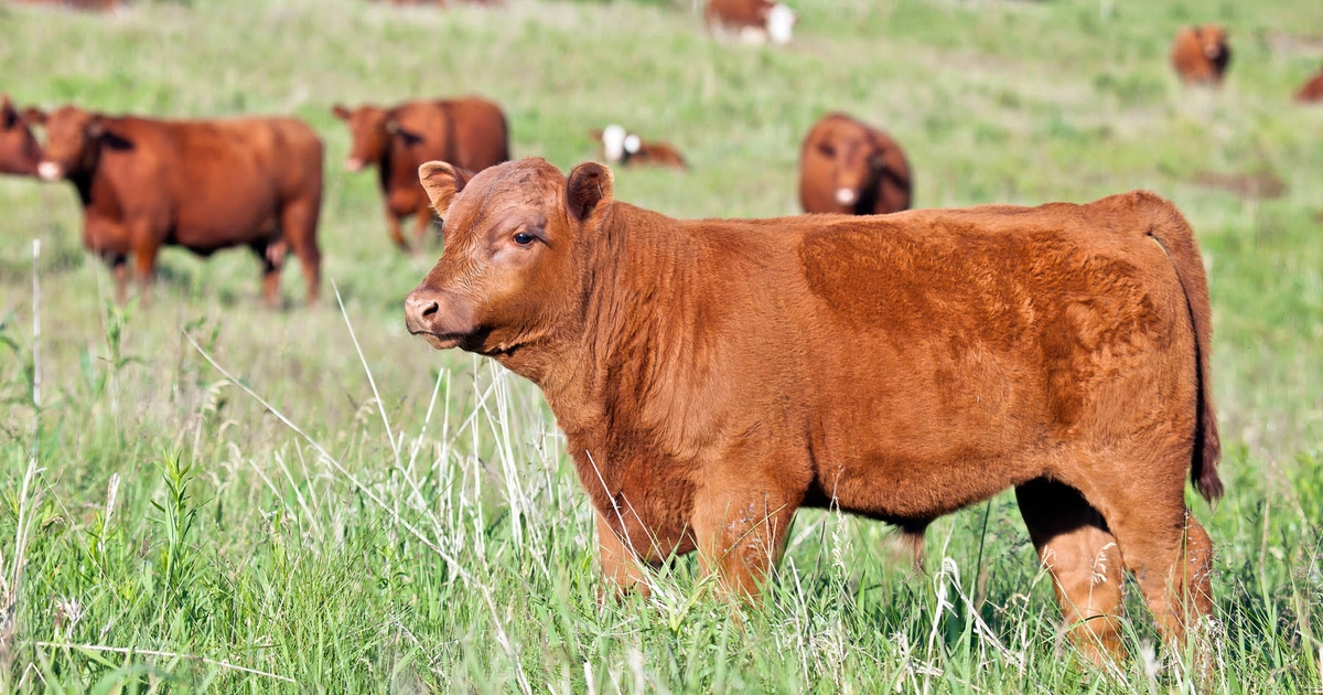 Farm Progress America, January 22, 2025