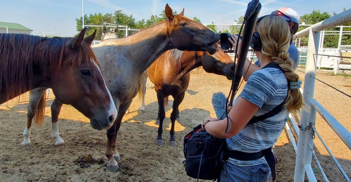 Audio engineer Emily Kreutz and videographer Chris Flanery, with some horses at Haythorn Land and Cattle Co.
