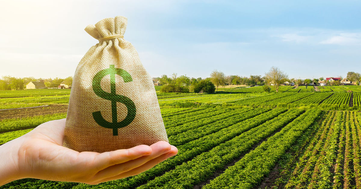 Stack Insect New tax bill offers major benefits for farmers' capital investments