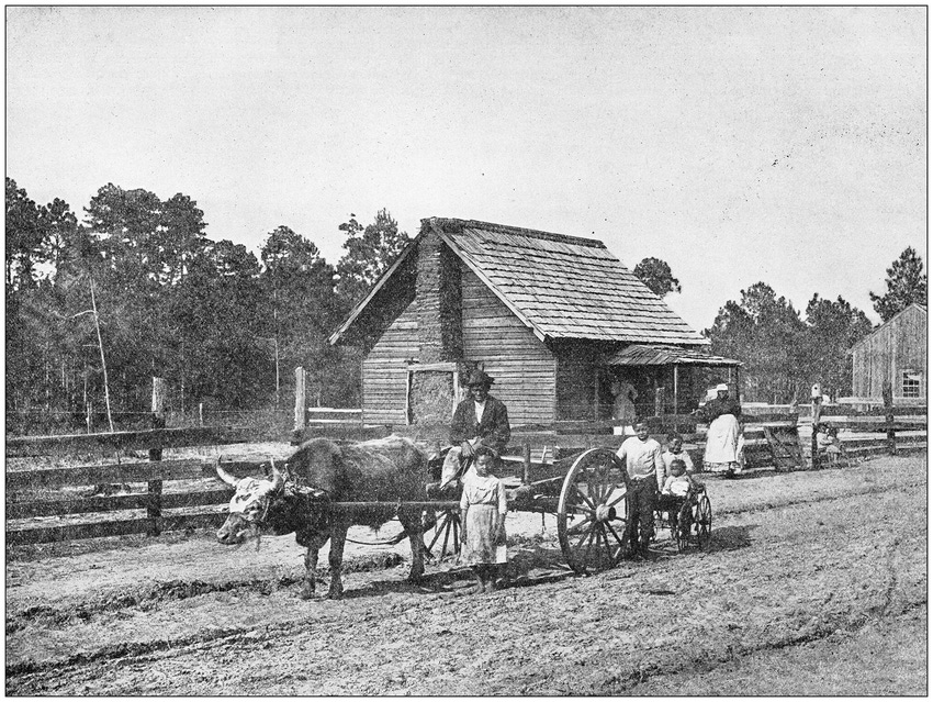 Old south agricultural scene