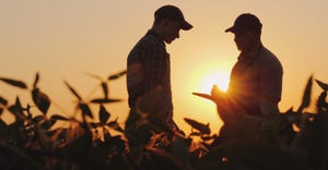 silhouette of two farmers talking in field