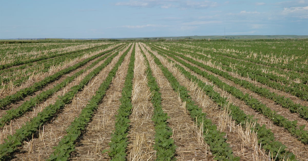 GreenSeam report highlights ag challenges, growth forecasts