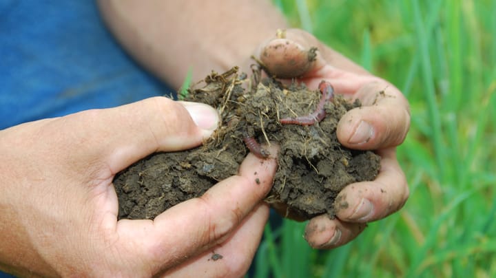 Want healthier soil? Start by thinking like a banker