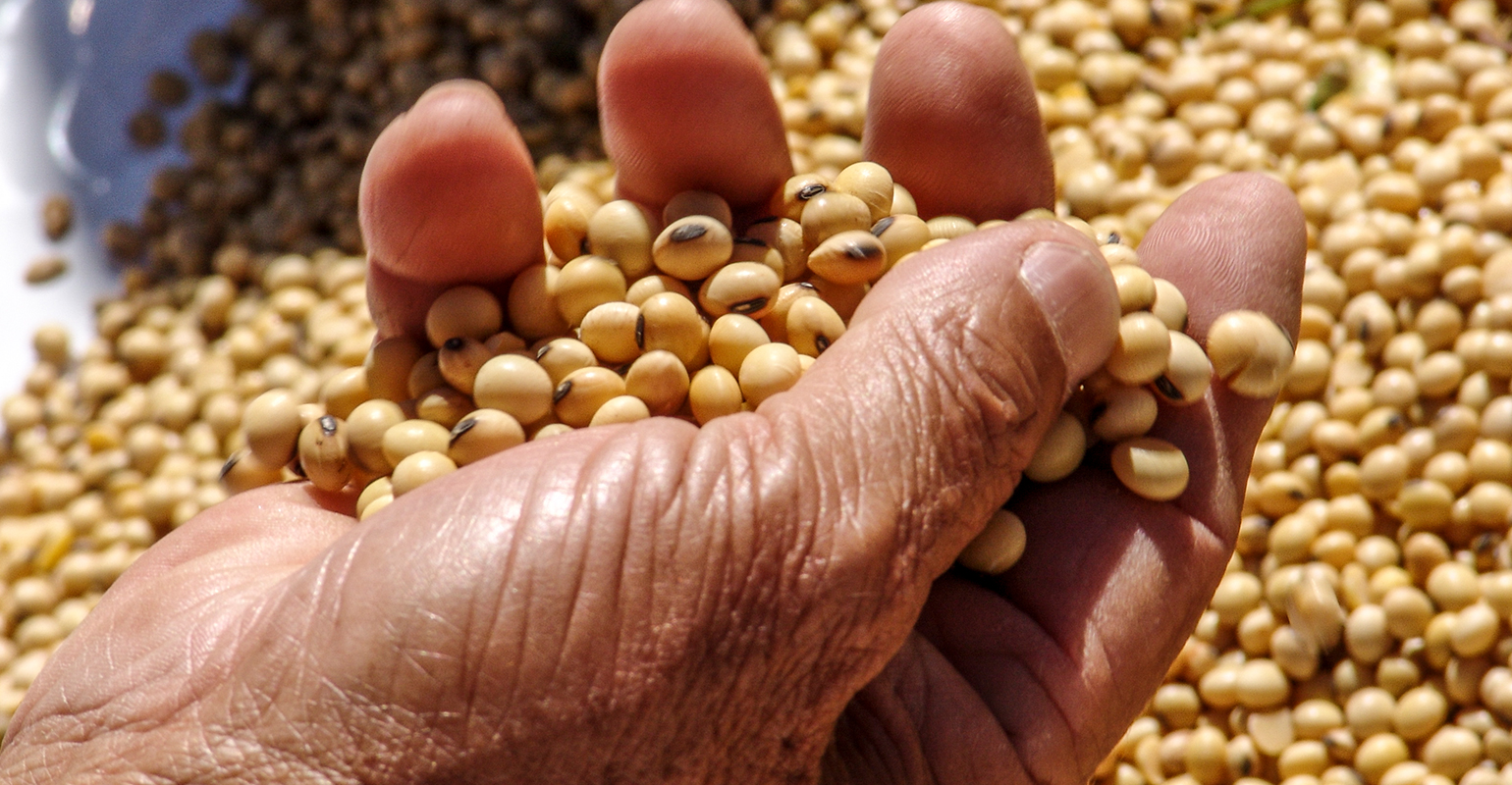 Learn how to grow 100bushelperacre soybeans