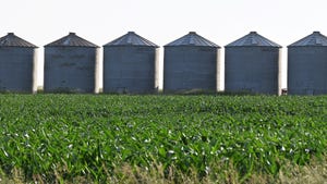 silos in cornfield