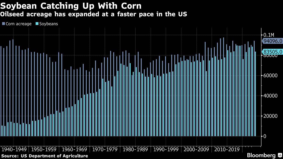 BLoomberg_soy_catching_up_with_corn.jpg