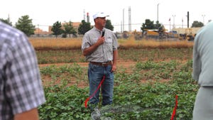 4 considerations for Southwest variety selection
