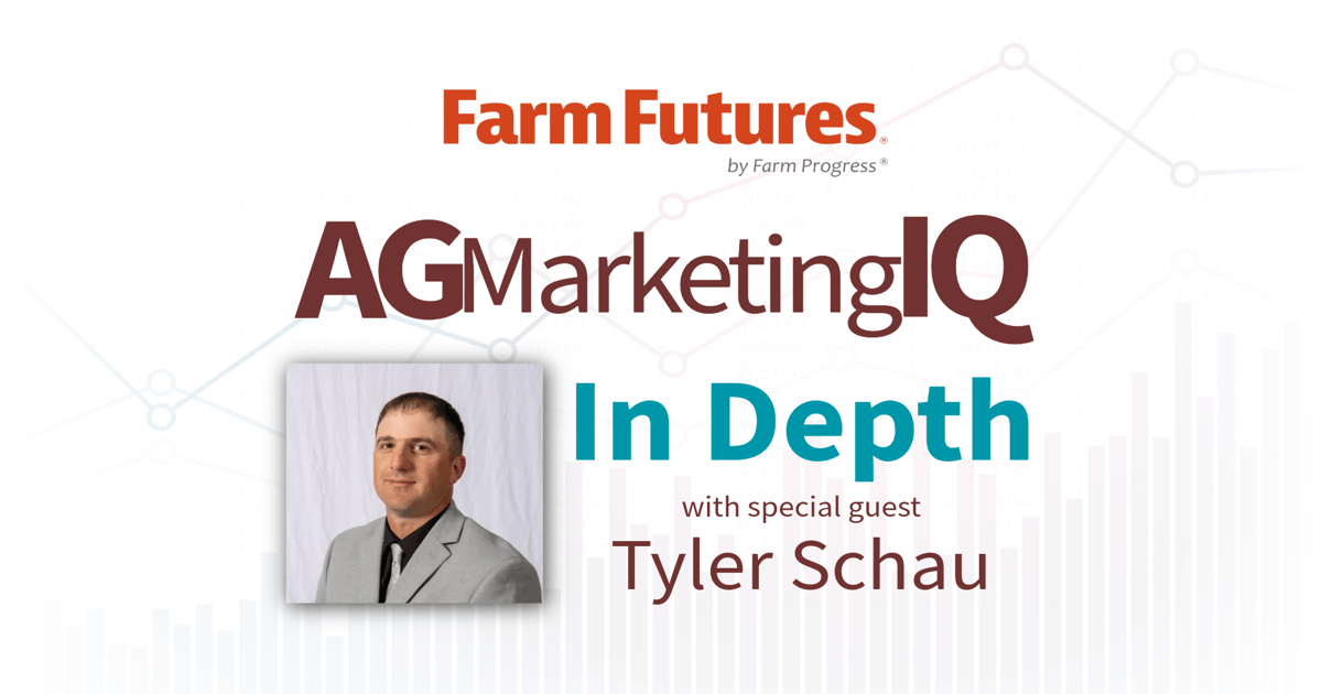 How to maximize corn profits as 2025’s bumper crop drives prices down