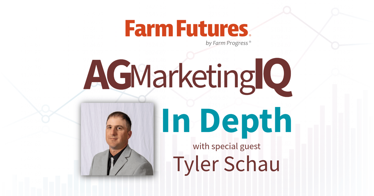 How to maximize corn profits as 2025’s bumper crop drives prices down How to maximize corn profits as 2025’s bumper crop drives prices down