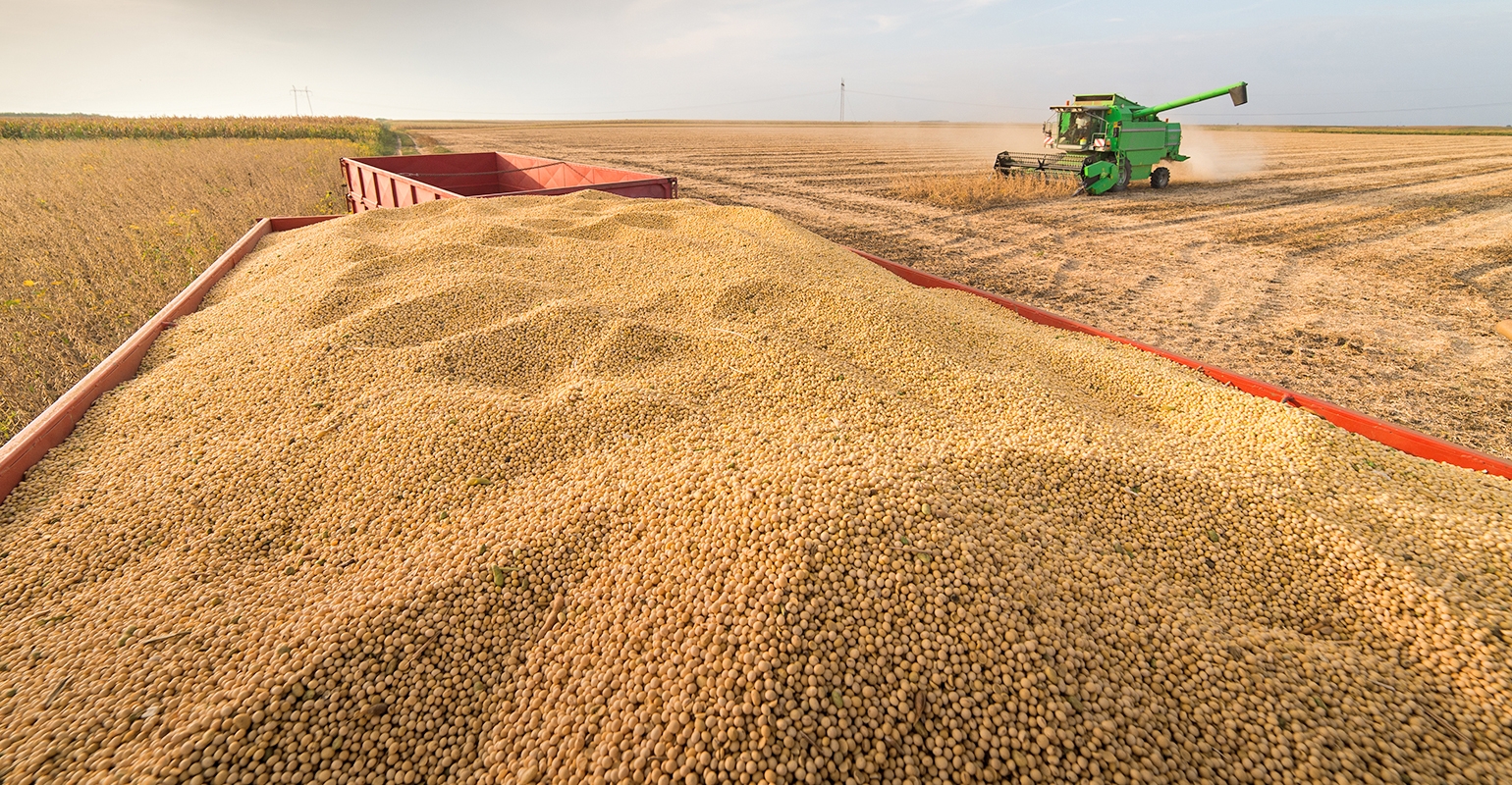 South Dakota soybean yield contest winners top 90 bushels per acre