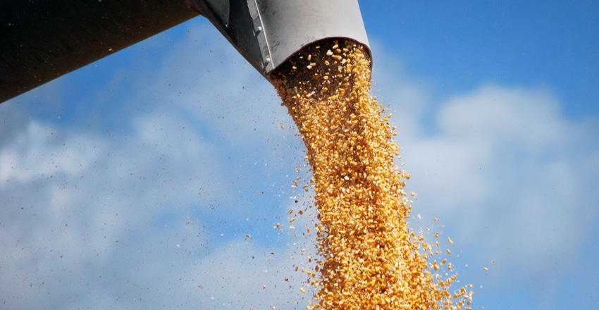 corn-harvest-unload-brad-haire-farm-progress-a.jpg corn-harvest-unload-brad-haire-farm-progress-a.jpg