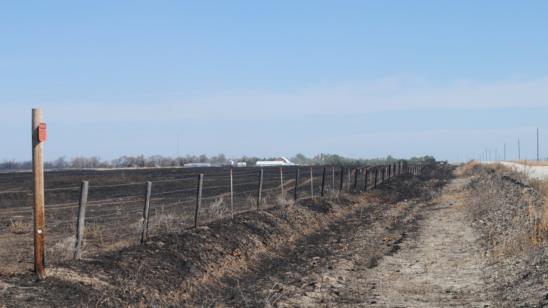 Producers recovering from February wildfires - Vimarsana News