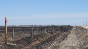 Burned landscape and fence posts