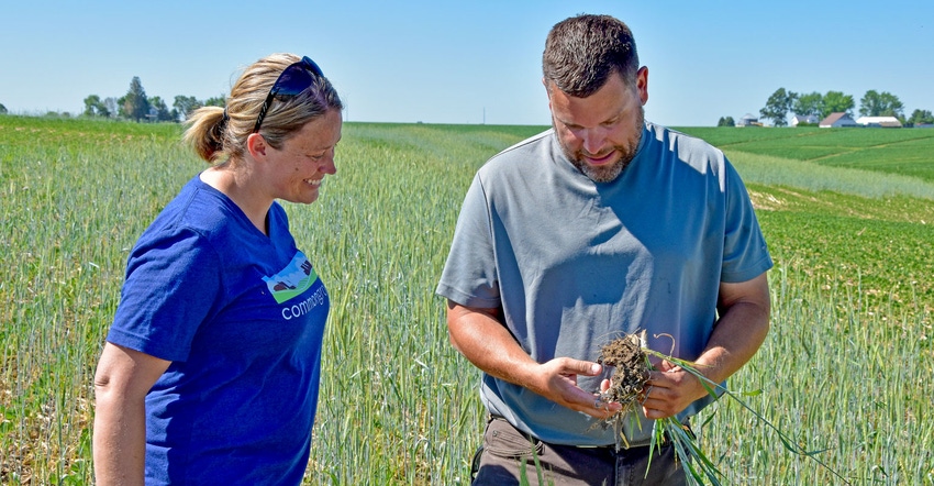 Prairie City, Iowa, farmers Will and Cassie Cannon look at a strip of cereal rye