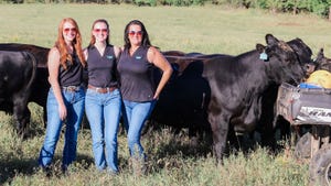 Three women smile for the camera with cattle in the background