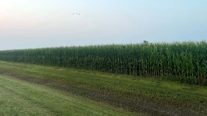 Senate farm bill stalls over SNAP cost fight