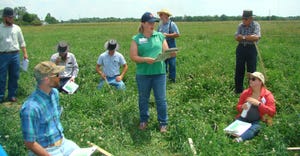 Susannah Hinds explains various ways to lay out paddocks to participants at a pasture workshop