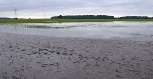 gray skies over flooded crop field