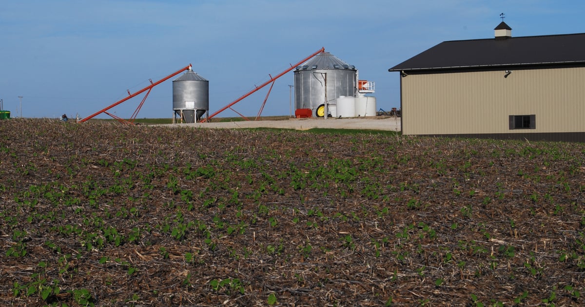 Sharing labor with a neighbor