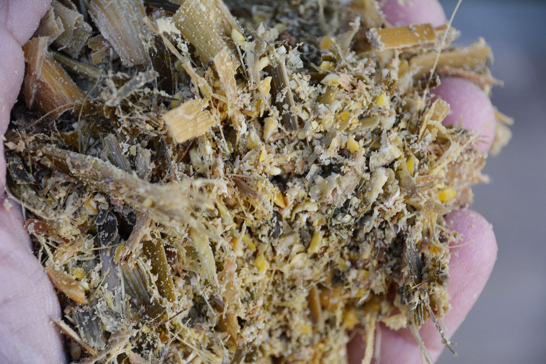 A close-up of forage and supplement mix fed to cattlemix