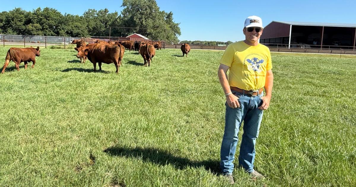 How one Minnesota producer is building better Red Angus cattle