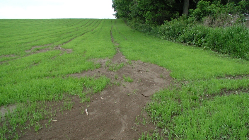 field with runoff soil erosion