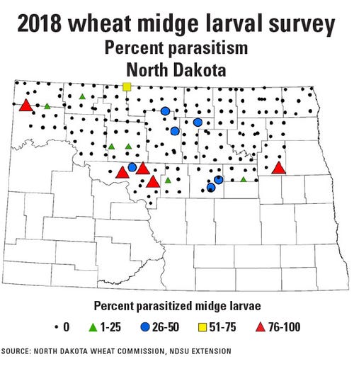 ND map wheat midge larval survey percent parasitism