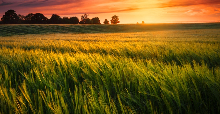 sunset sky and farm field