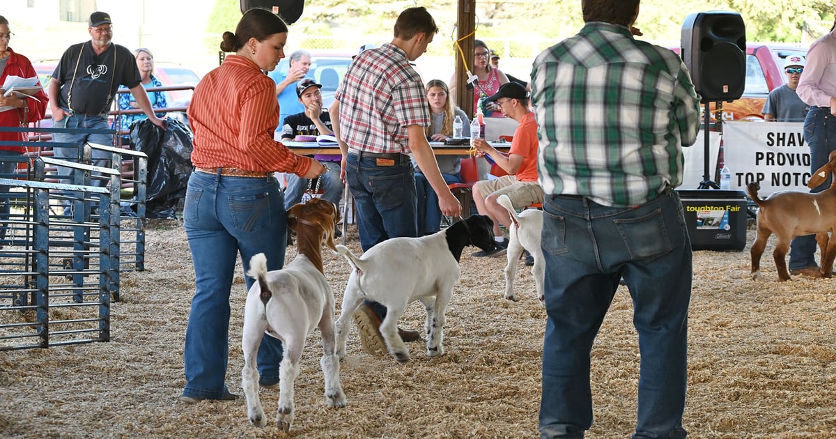 Preserving county fairs: Why your attendance matters for rural communities