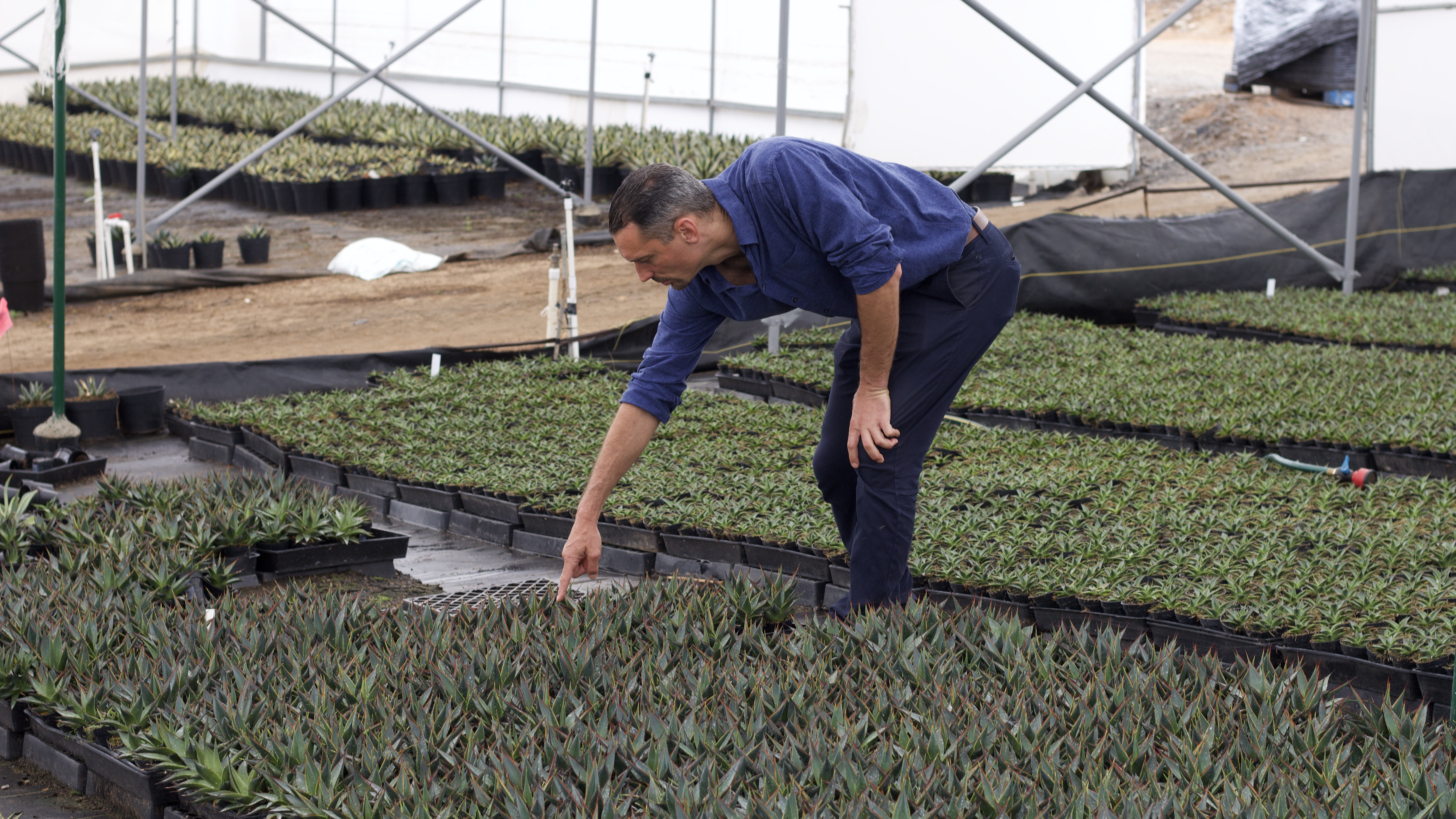 Geraldo "Gerry" Spinelli