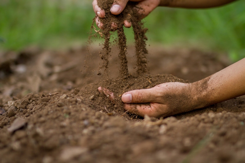 3-16-21 farm workers.jpg 3-16-21 farm workers.jpg
