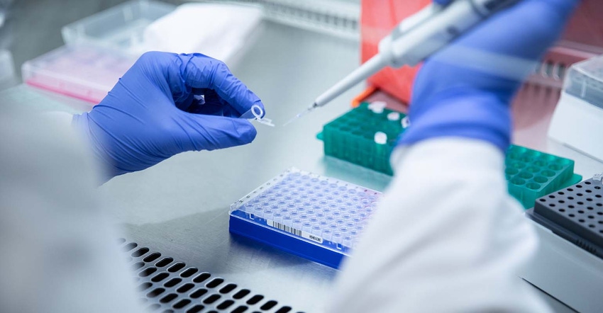 Lab technician with pipette Lab technician with pipette