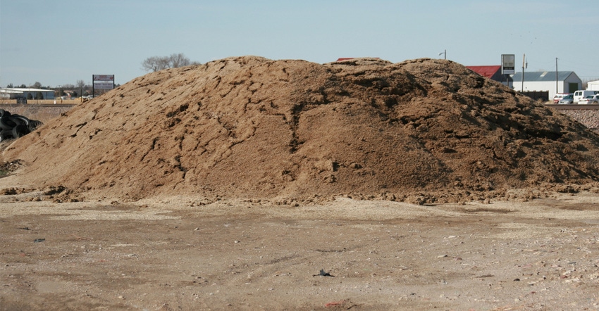 a large pile of sugar beet pulp which is often used in gestating cow diets 