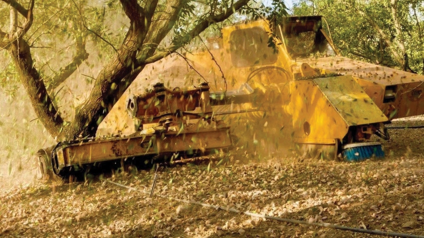 Almond tree waste Almond tree waste
