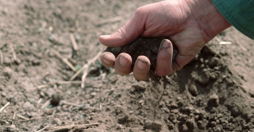 Hand picking up soil in field