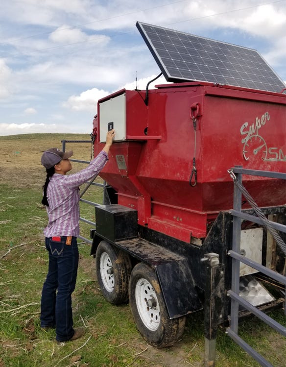 Selby Boerman, one of Travis Mulliniks’ graduate students, calibrates the scales on the feeder