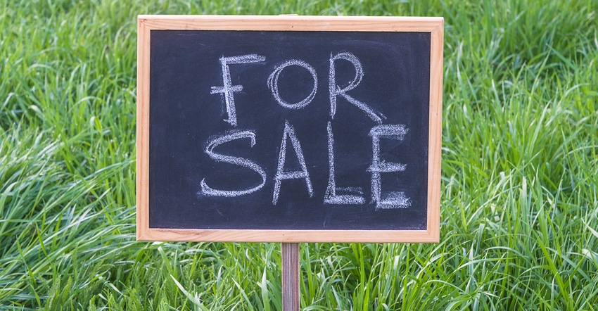 Signboard with text "For sale" on green lawn