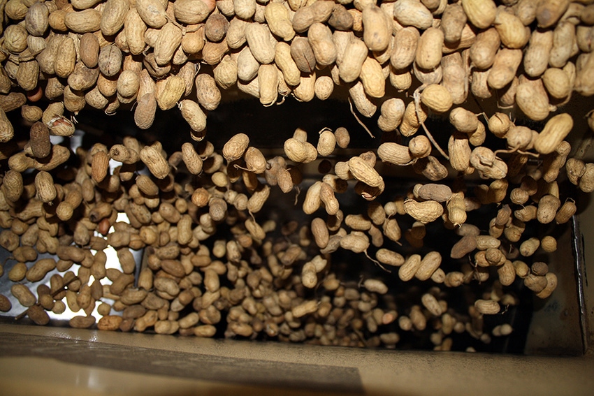 haire-peanut-shelling-plant-a-low.jpg